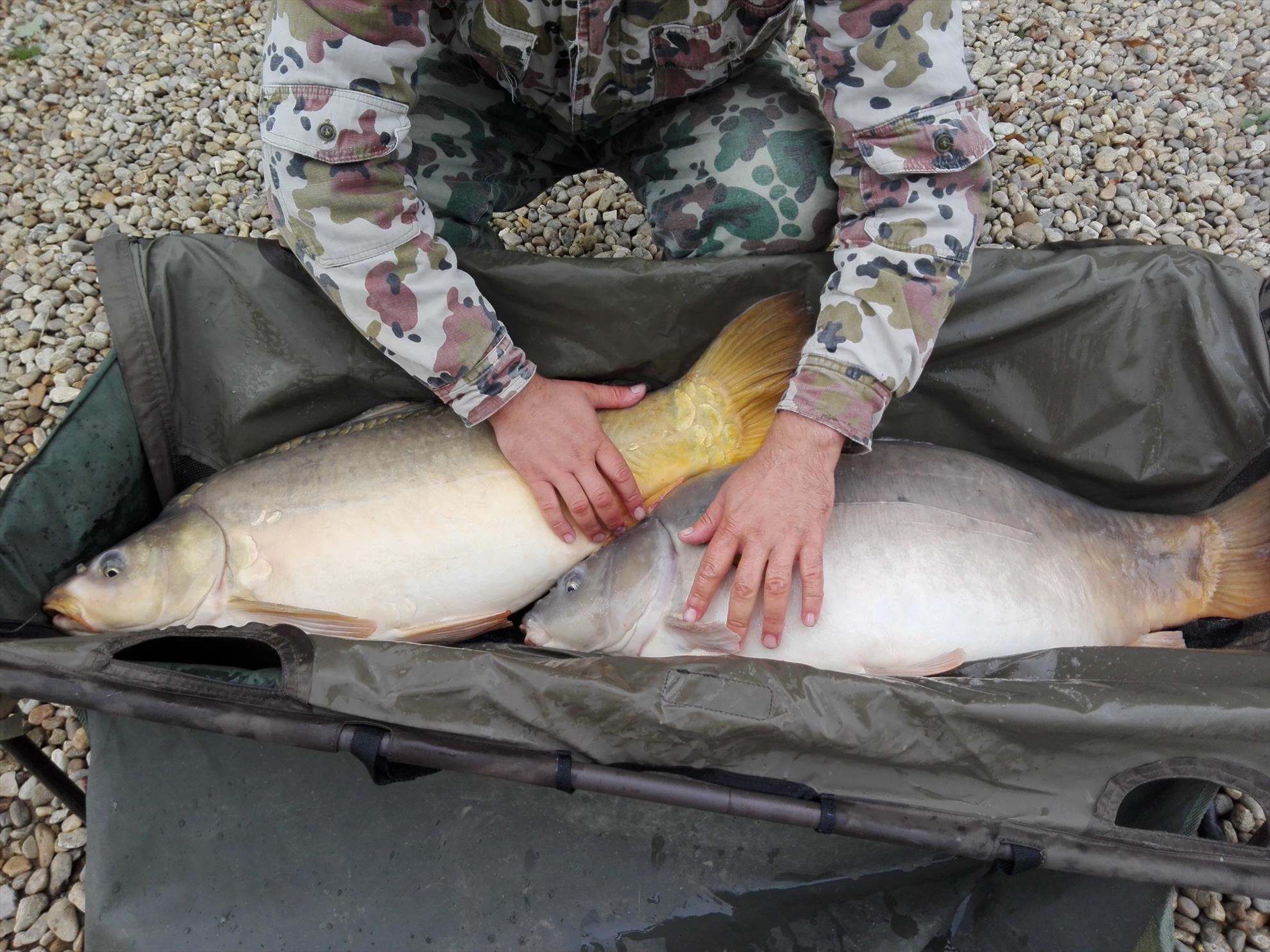 1-5 Octombrie Cetariu - img20161004105250.jpg